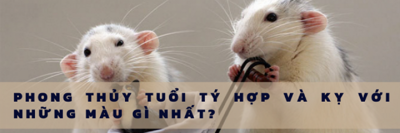 Bang mau xe can tranh doi voi nu sinh 1972 menh Moc theo phong thuy tuong khac